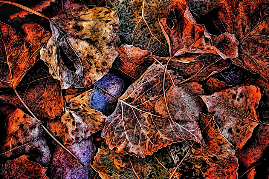 A Mix of Autumn - Abstract Photograph by Steve Sullivan
