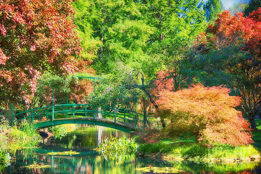 A Monet Autumn Photograph by Blaine Owens A Monet Autumn Photograph by Blaine Owens