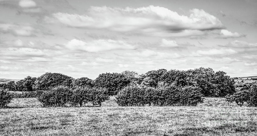 A monochrome photograph of fields in Heywood, Greater Manchester. Photograph by Pics By Tony