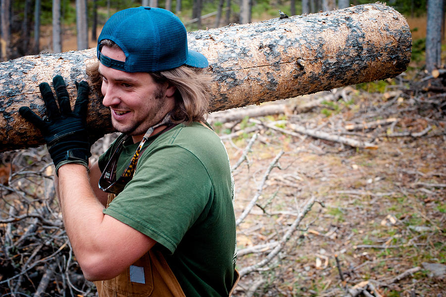 A Montana man carries a large log in the woods. Photograph by Meg Haywood-Sullivan