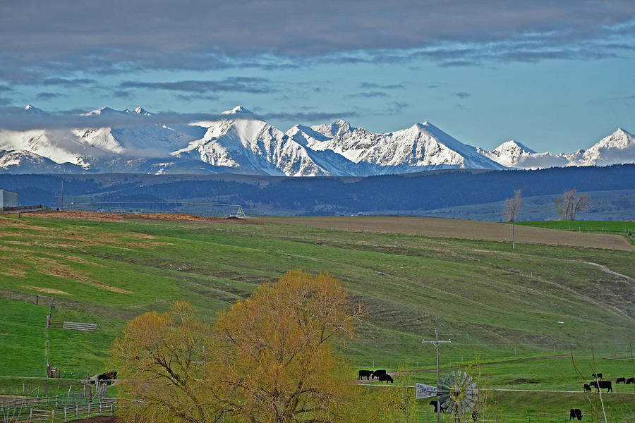A Montana Spring Snowy Mountains and Green Fields Photograph by Bruce Gourley