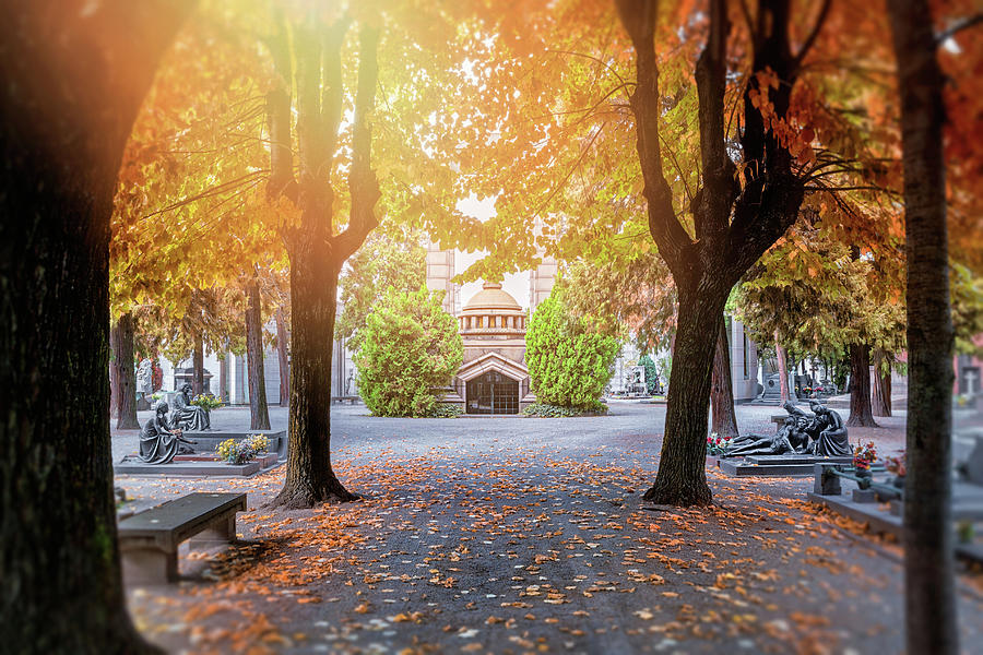 A Monumental Autumn in Milan Italy Photograph by Carol Japp