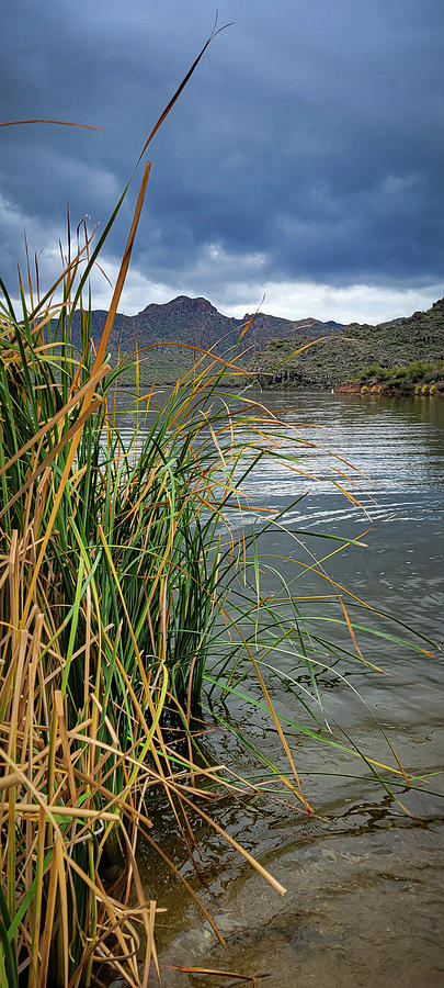 A Moody Day at the Lake Photograph by Bonny Puckett