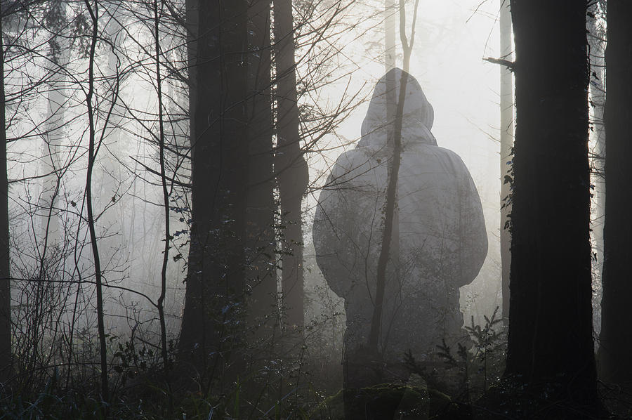 A moody forest. With sunlight silhouetting the trees, on a misty winters day. With a spooky hooded figure over layered on top. Photograph by David Wall