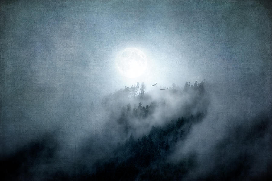 A Moon in the Mist Photograph by Philippe Sainte-Laudy