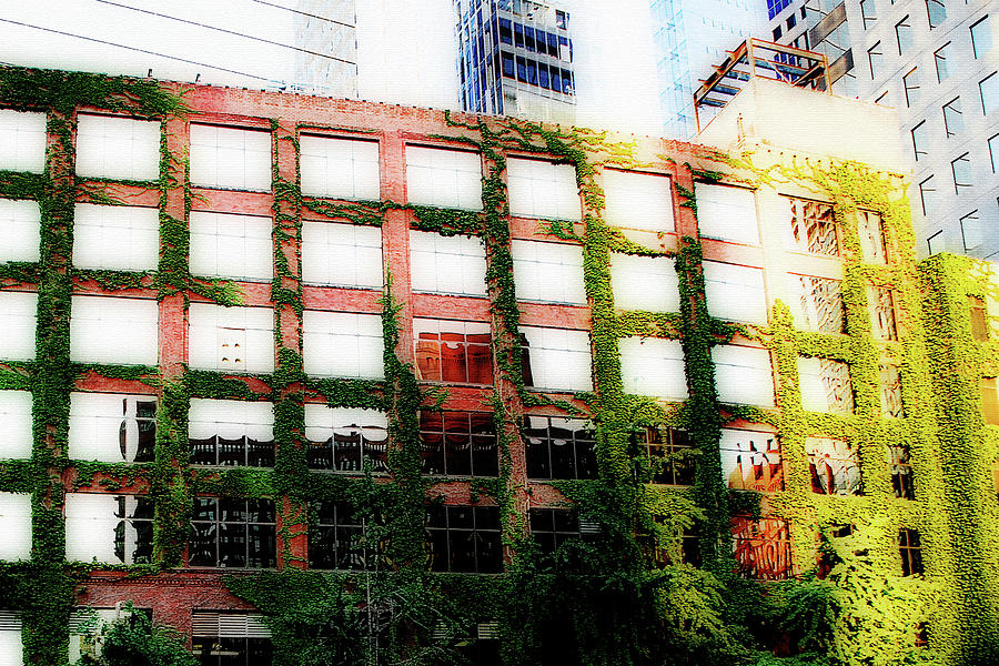Chicago Photograph - A Mossy Reflection by Simone Hester
