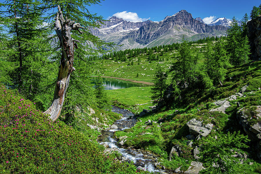 A Mountain Creek Photograph
