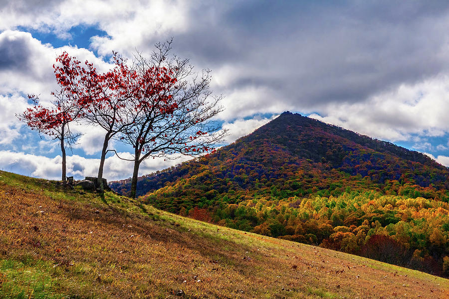 A Mountain of Fall Colors Photograph by Dan Carmichael