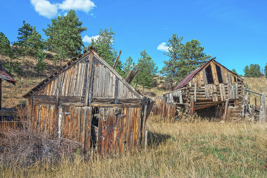 A Much Coveted Era, The Days Of Yore, Teller County, Colorado  Photograph by Bijan Pirnia