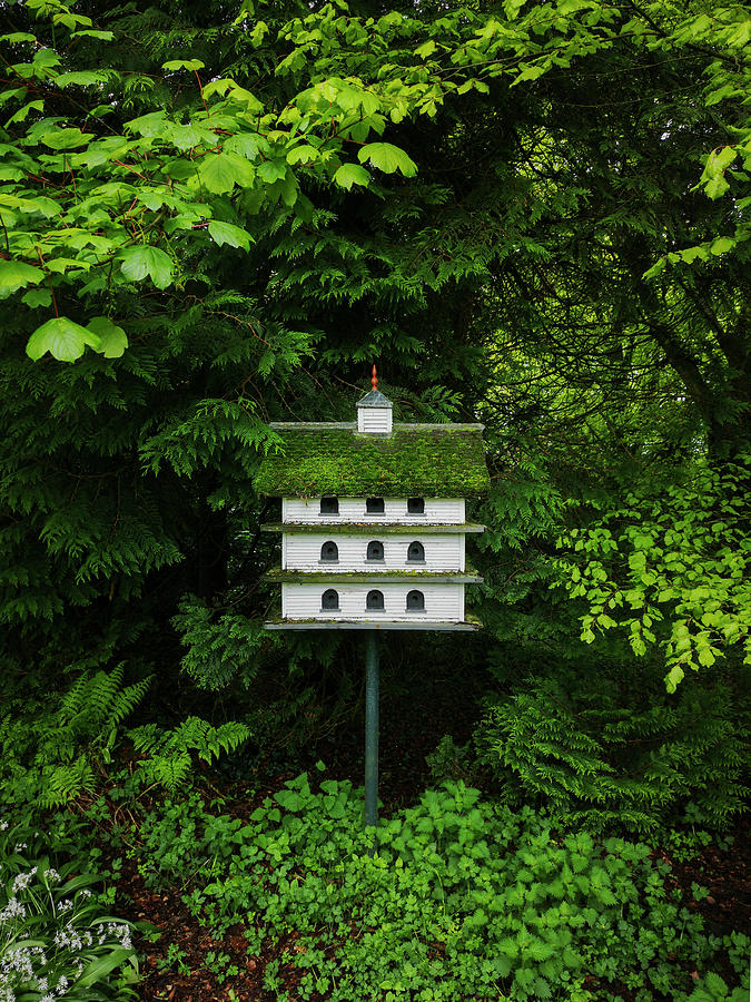 A multi-storey bird house in Oakfield Demesne, Raphoe, County Donegal, Ireland Photograph by Panoramic Images