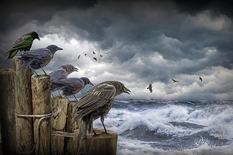 Nature Photograph - A Murder, Flock of Crows perched on Dock Pilings amidst a Sea St by Randall Nyhof