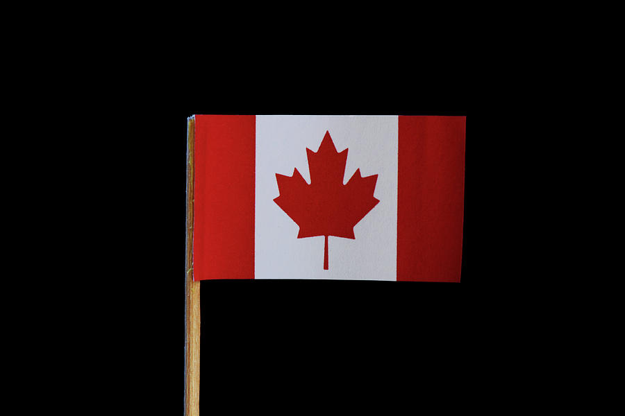 A National And Original Flag Of Canada On Toothpick On Black Background A Vertical Triband Of