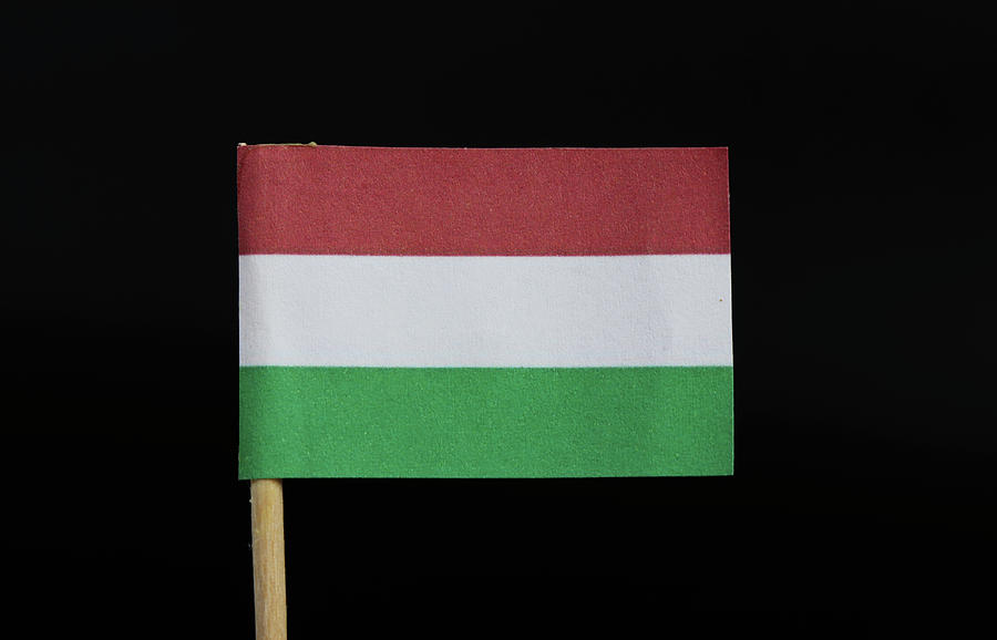 Flag of Hungary Photograph by Vaclav Sonnek
