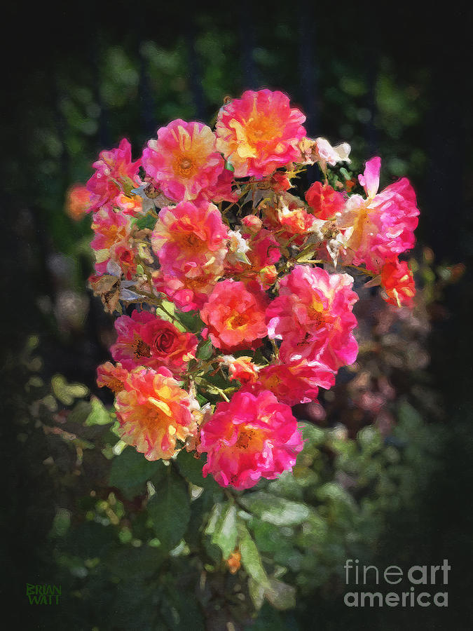 A Natural Bouquet Photograph by Brian Watt