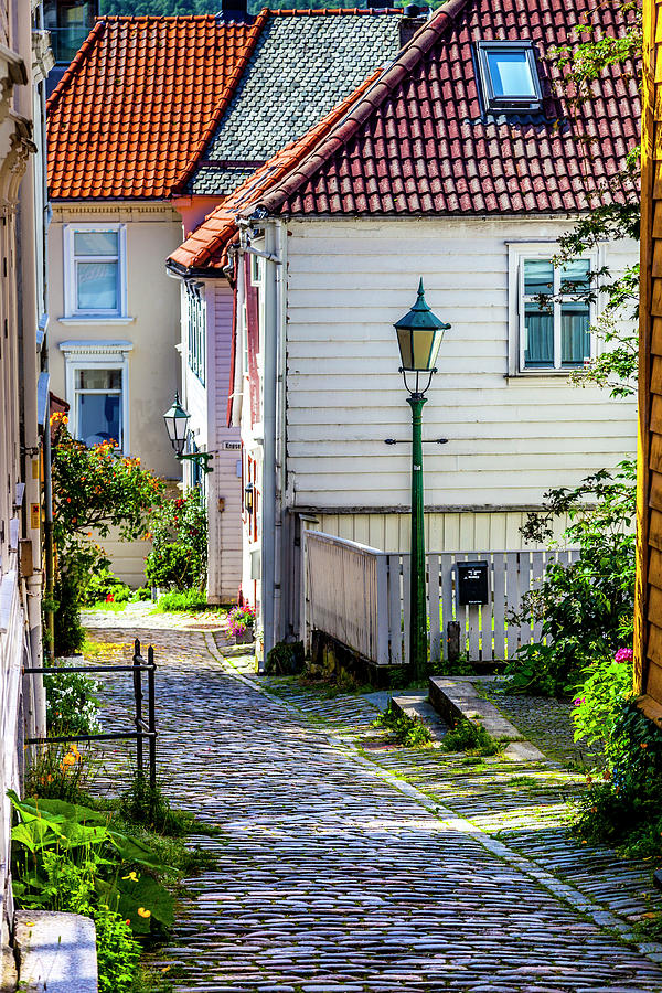 A Neighborhood in Bergen Photograph by W Chris Fooshee