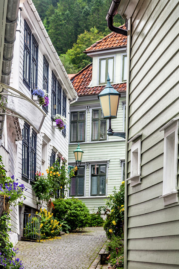 A Neighborhood Stroll in Bergen Photograph by W Chris Fooshee