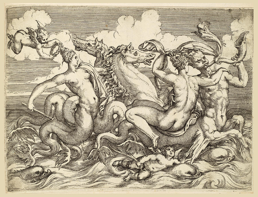 A Nereid Riding a Sea Centaur Accompanied by Other Sea Creatures Drawing by Angiolo Falconetto