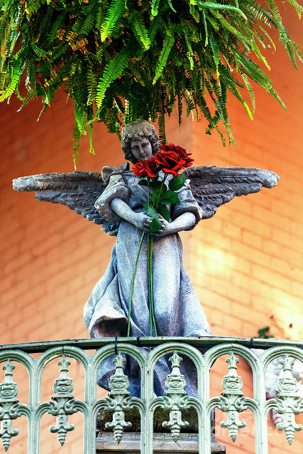 A New Orleans Offering from an Angel Photograph by John Rizzuto