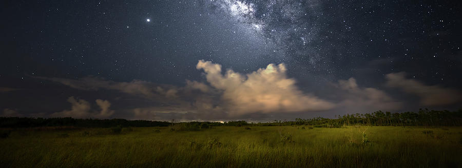 A Night in Everglades National Park Photograph by Mark Andrew Thomas