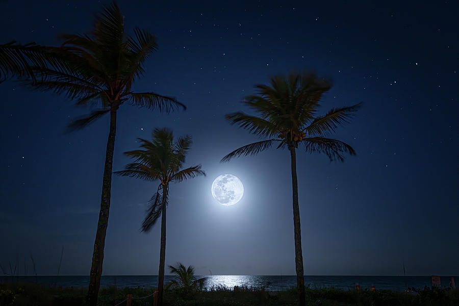 A Night in Paradise Photograph by Mark Andrew Thomas