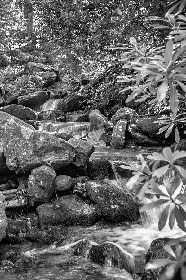 A No Name Falls Near Glenville NC in Black and White Photograph by Bob Decker