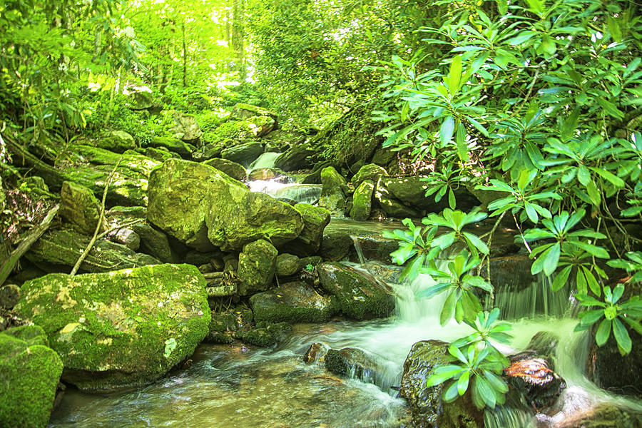 A No Nave Waterfall near Glenville North Carolina Photograph by Bob Decker