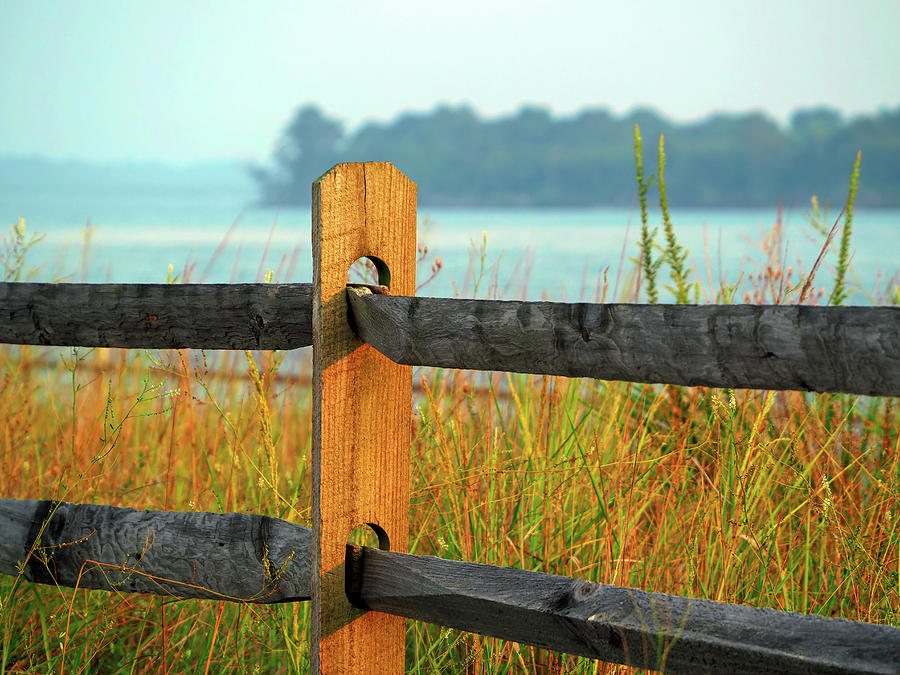 A Non-Political Fence Post Photograph by Bill Swartwout
