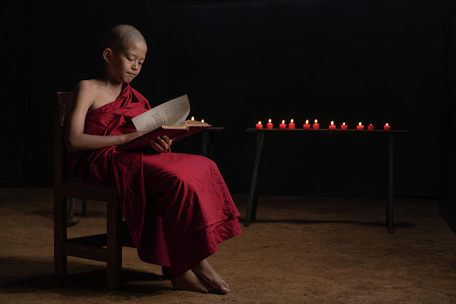 A novice monk reading Photograph by Anges Van der Logt