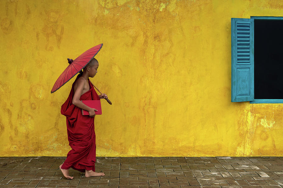 A novice monk walking by Photograph by Anges Van der Logt