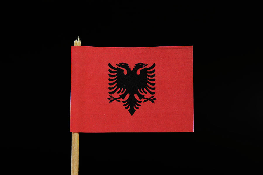 Flag of Albania Photograph by Vaclav Sonnek