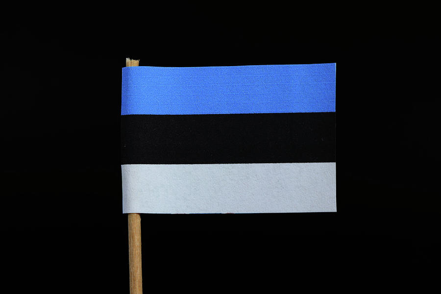 Flag Of Estonia Photograph