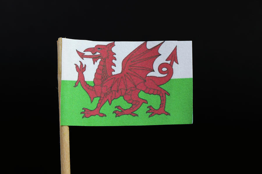 Flag of Wales Photograph by Vaclav Sonnek