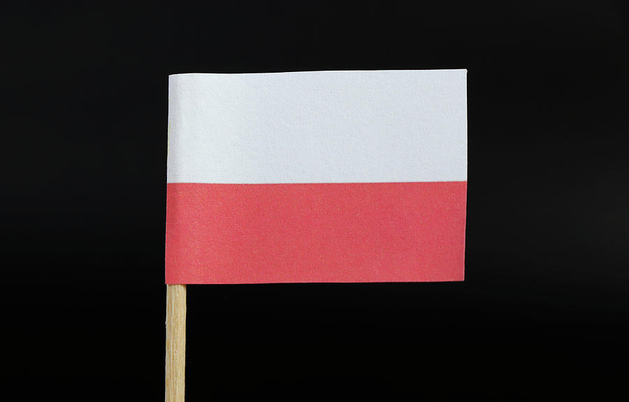 Flag of Poland Photograph by Vaclav Sonnek