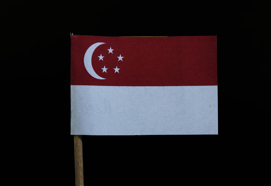 Flag of Singapore Photograph by Vaclav Sonnek