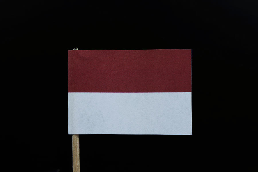 Flag of Indonesia Photograph by Vaclav Sonnek