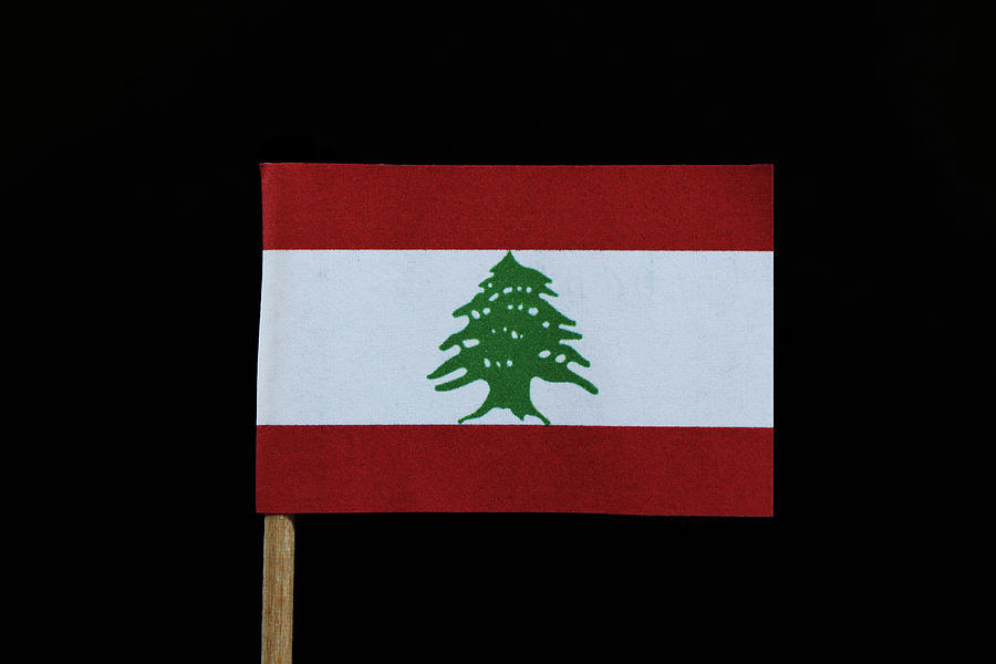 Flag of Lebanon Photograph by Vaclav Sonnek