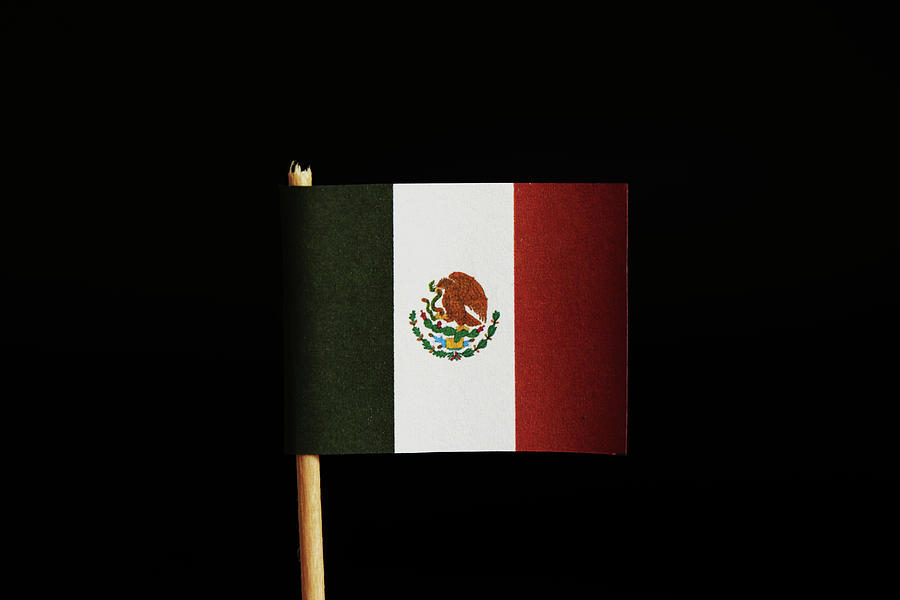 A official flag of Mexico on toothpick and on black background. Mexico belongs between the most criminality land in the world. Photograph by Vaclav Sonnek A official flag of Mexico on toothpick and on black background. Mexico belongs between the most criminality land in the world. Photograph by Vaclav Sonnek