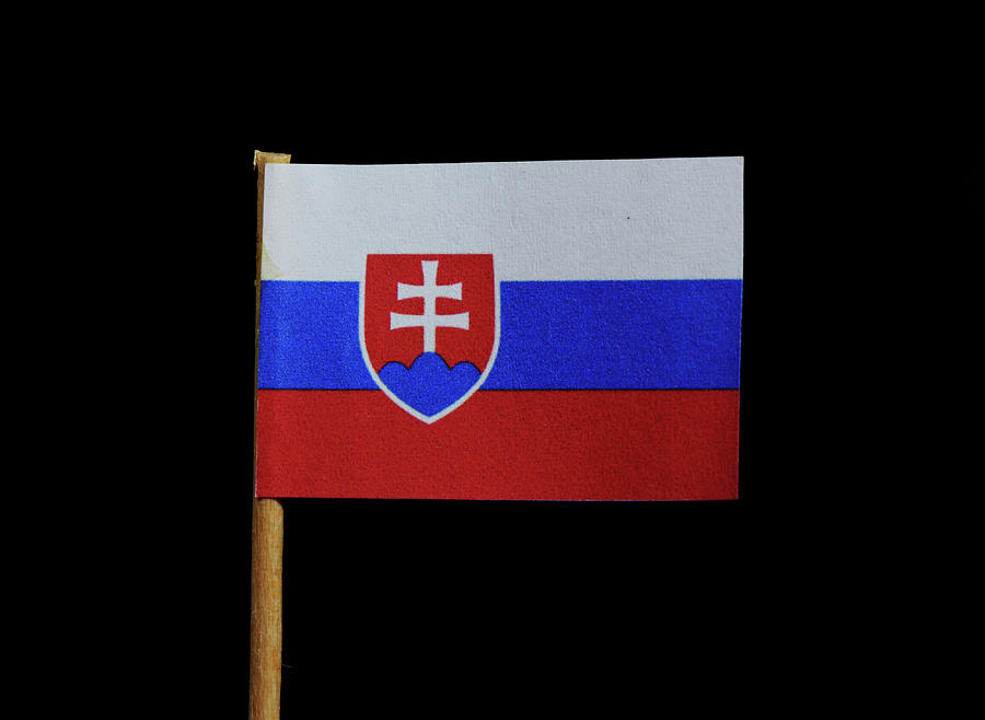 Flag of Slovakia Photograph by Vaclav Sonnek
