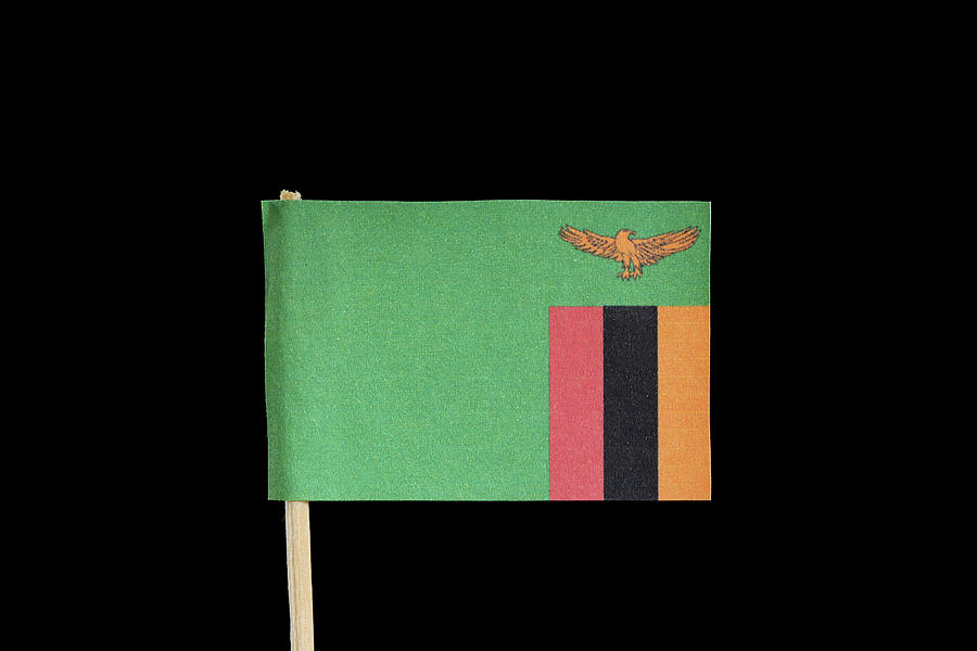 A official, national flag of Zambia on toothpick on black background. Zambia has flag contain eagle and tricolour on green field. Photograph by Vaclav Sonnek