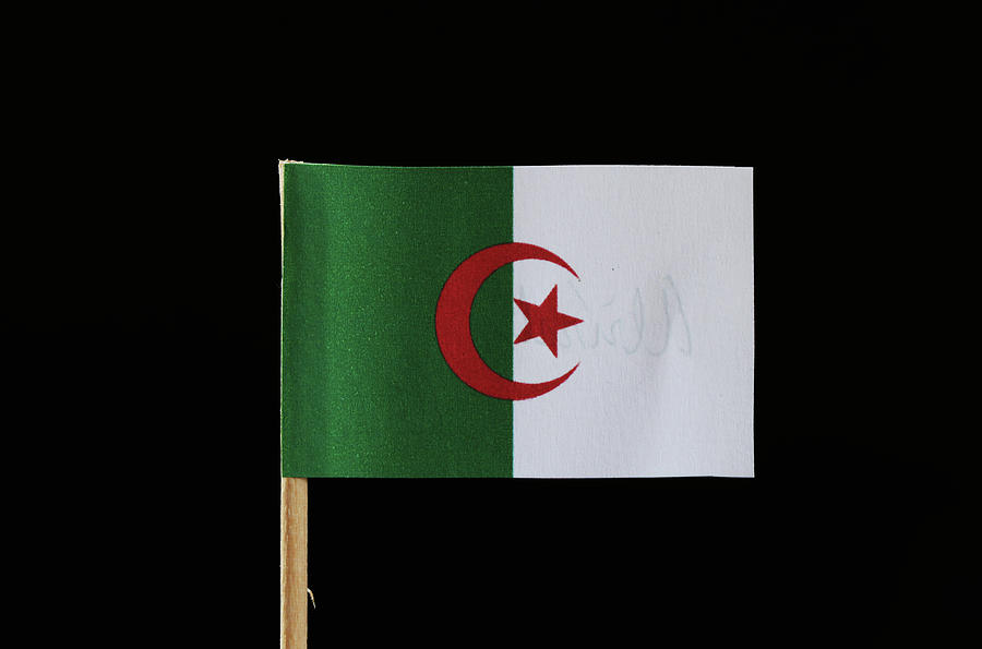 A original and official flag of Algeria on toothpick on black background. Consists of two equal vertical bars, green and white with a red star and crescent Photograph by Vaclav Sonnek