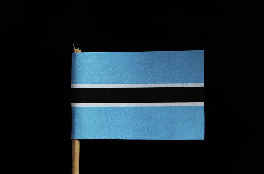 A original and official flag of Botswana on toothpick on black Flag consists from blue field cut horizontally in the centre by a black stripe with a thin white frame