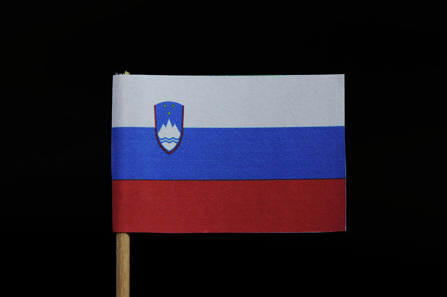 Flag of Slovenia Photograph by Vaclav Sonnek