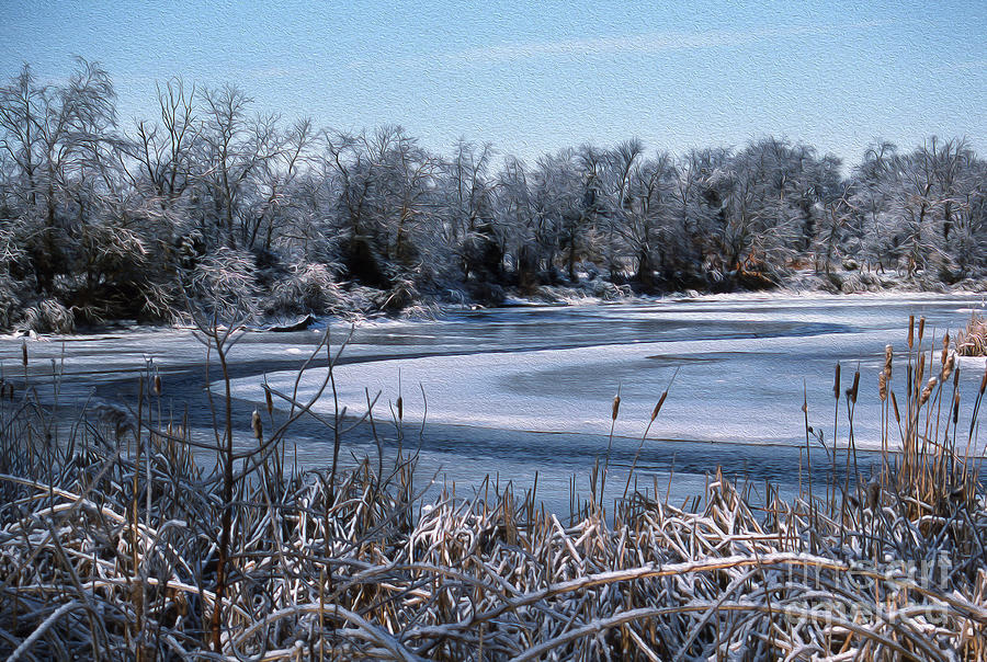 A Painted Winter Scene Photograph
