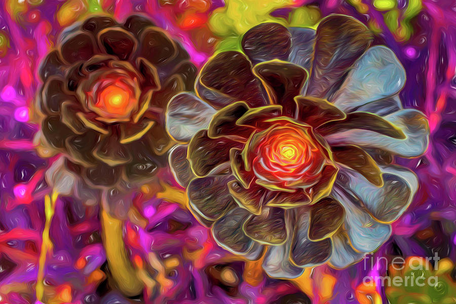 A Pair of Black Rosette Echeveria Succulents Photograph by Roslyn Wilkins