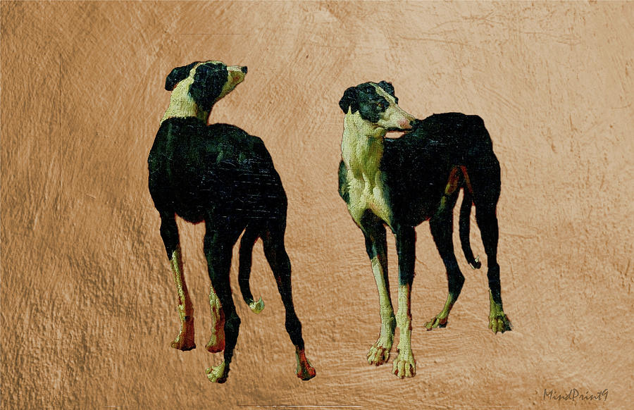 A Pair of Greyhounds Digital Art by Asok Mukhopadhyay