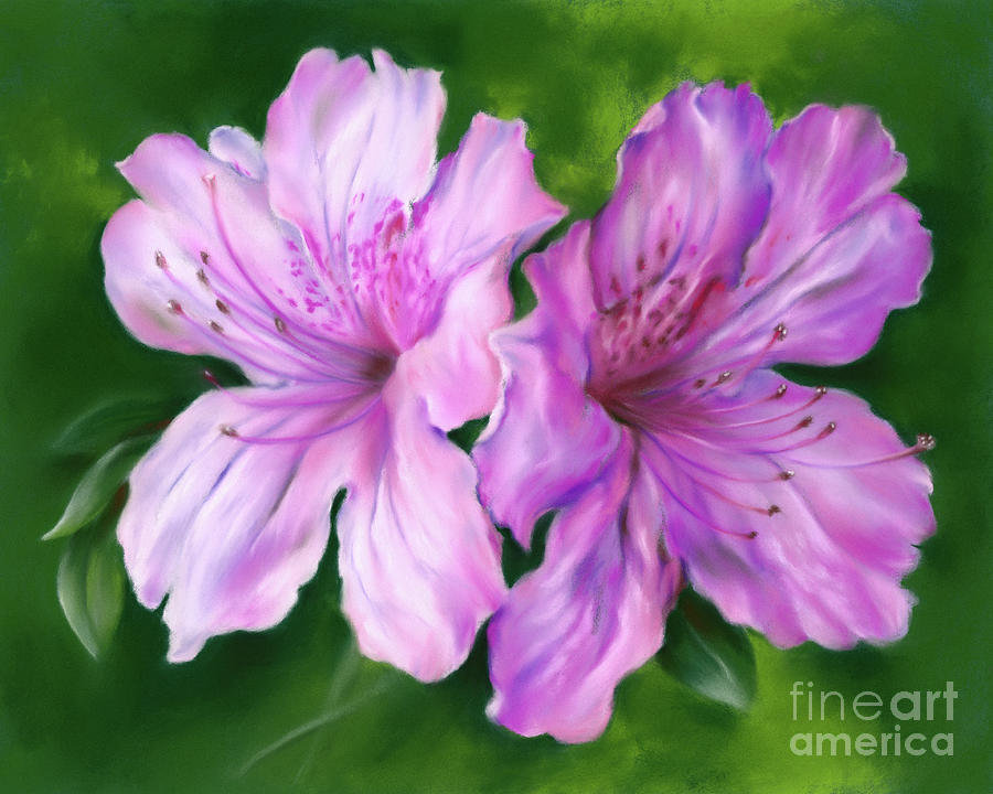 A Pair of Pink Azalea Flowers Painting by MM Anderson