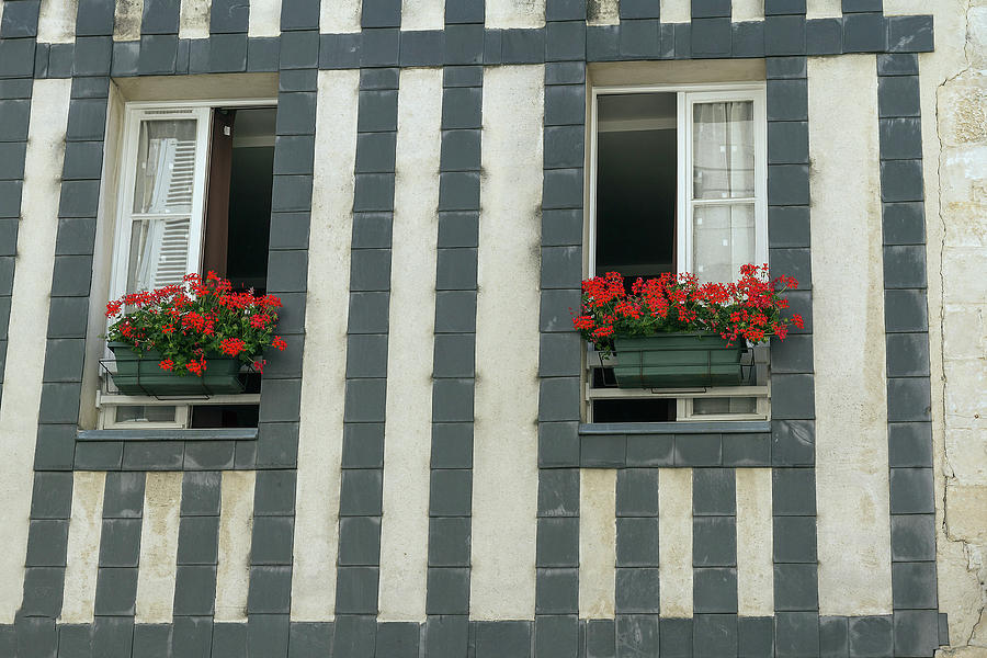 A Pair of Windows, La Rochelle, France Photograph by Elaine Teague