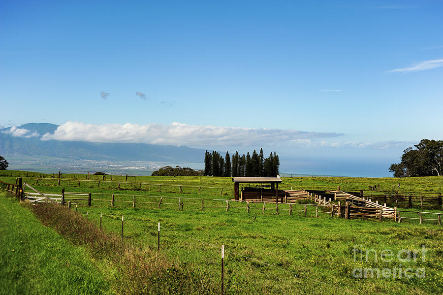 A panoramic picture on Mauis mountainside of Haleakala, with a distant view of Kahului.  Photograph by Gunther Allen