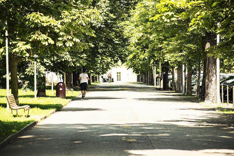 A park in Novara Italy with a tree lined avenue. Photograph by Ray Wise
