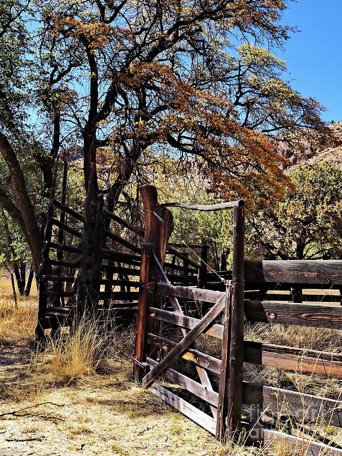 A Part of the Ranch Photograph by Gary Richards